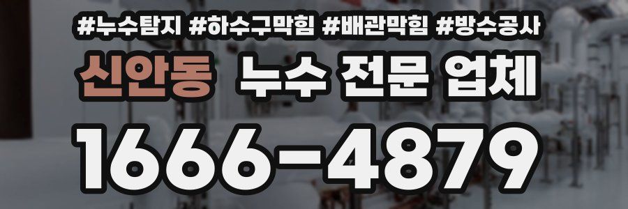신안동 누수 전문 업체