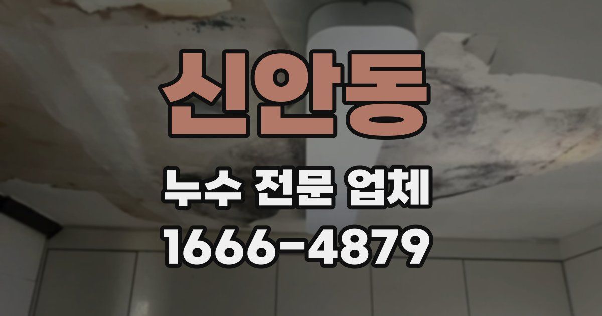 신안동 누수 전문 업체
