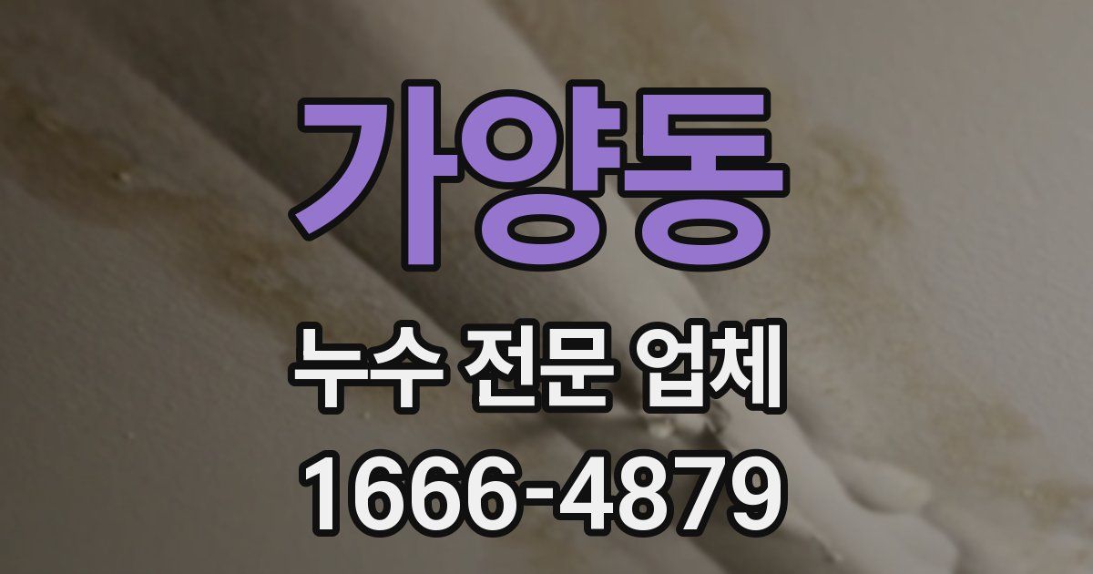 가양동 누수 전문 업체