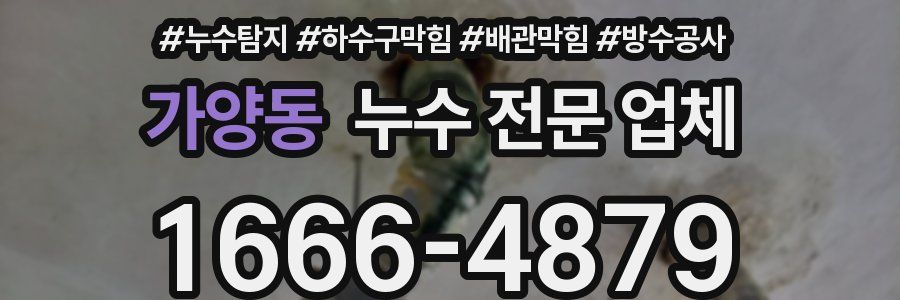 가양동 누수 전문 업체