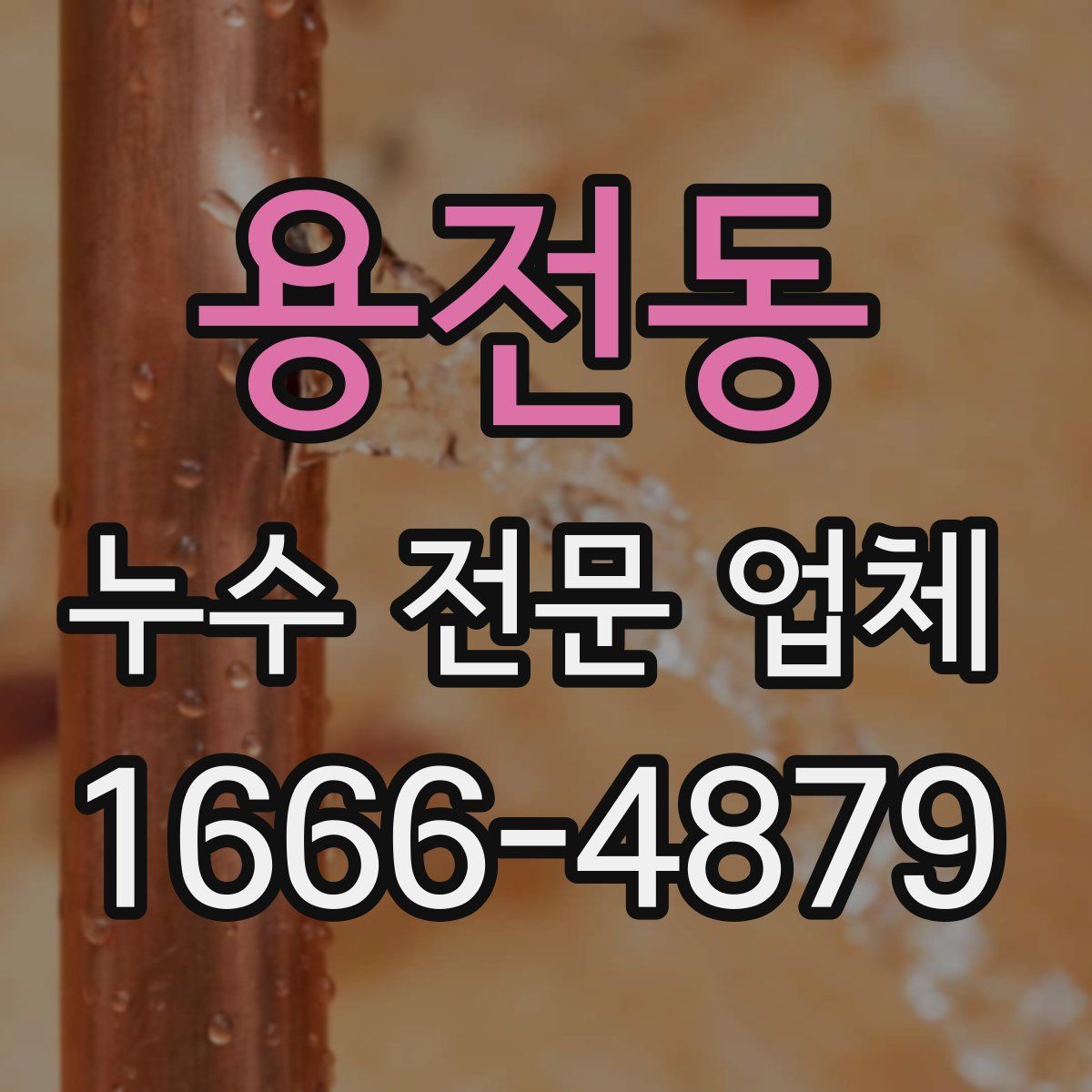 용전동 누수 전문 업체