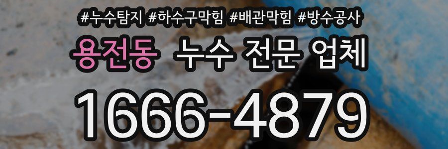 용전동 누수 전문 업체