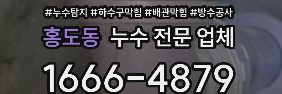 홍도동 누수 전문 업체