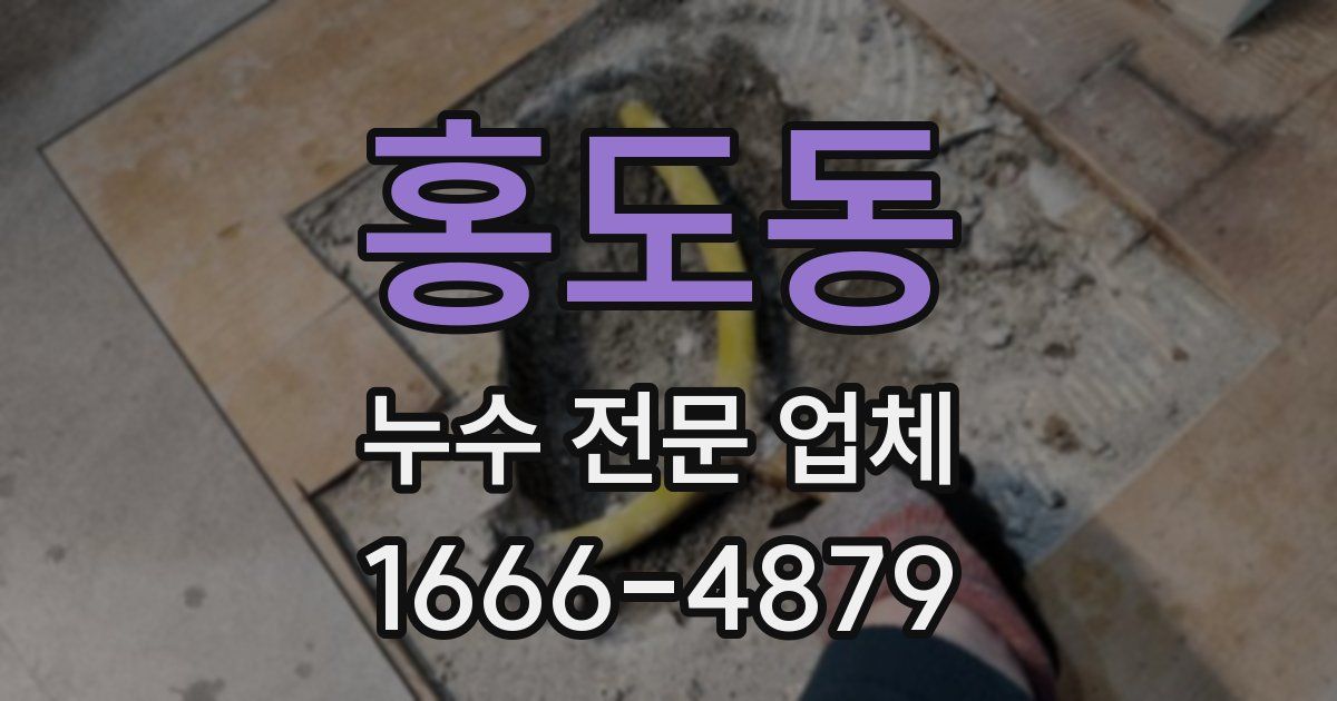 홍도동 누수 전문 업체