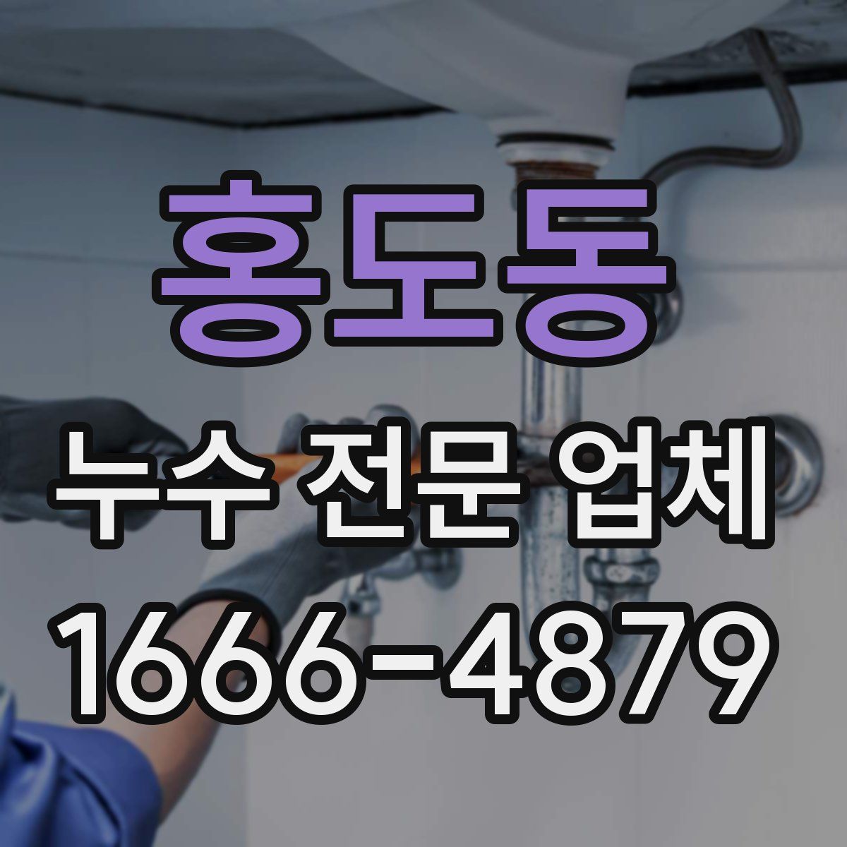 홍도동 누수 전문 업체