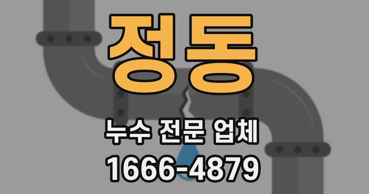 정동 누수 전문 업체