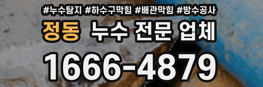 정동 누수 전문 업체