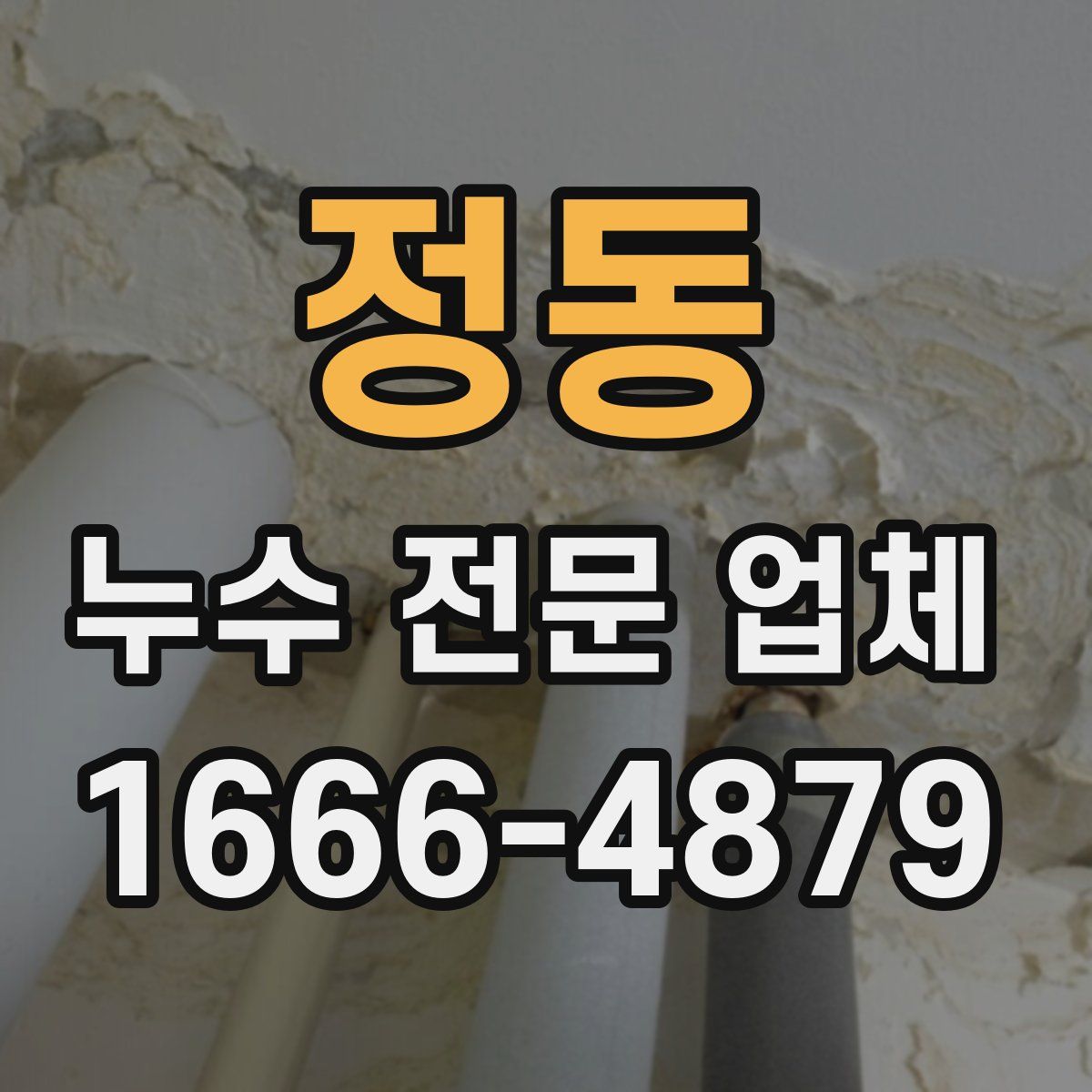 정동 누수 전문 업체