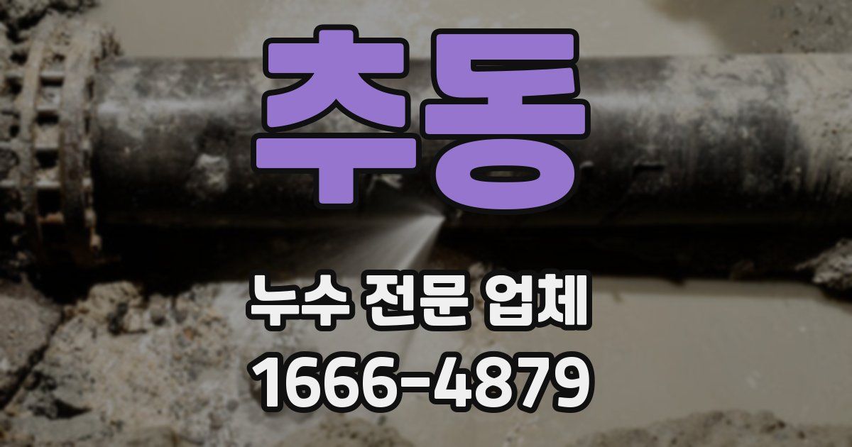 추동 누수 전문 업체