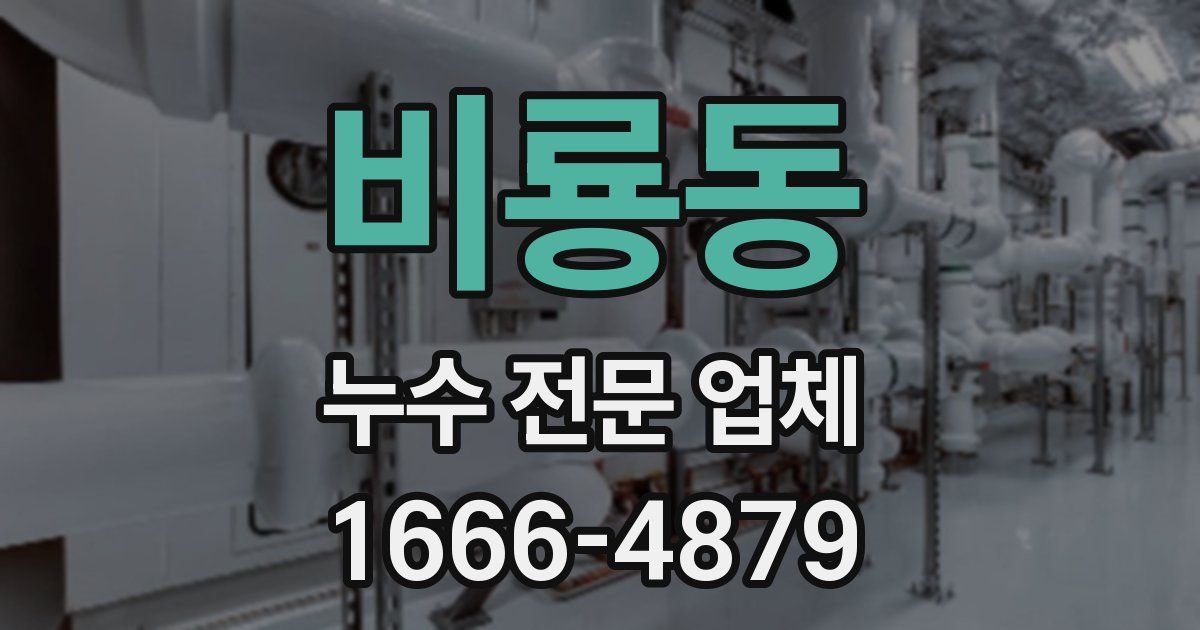 비룡동 누수 전문 업체