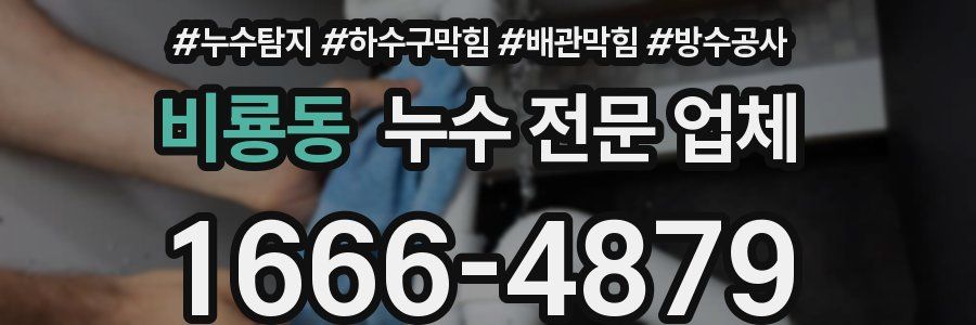 비룡동 누수 전문 업체