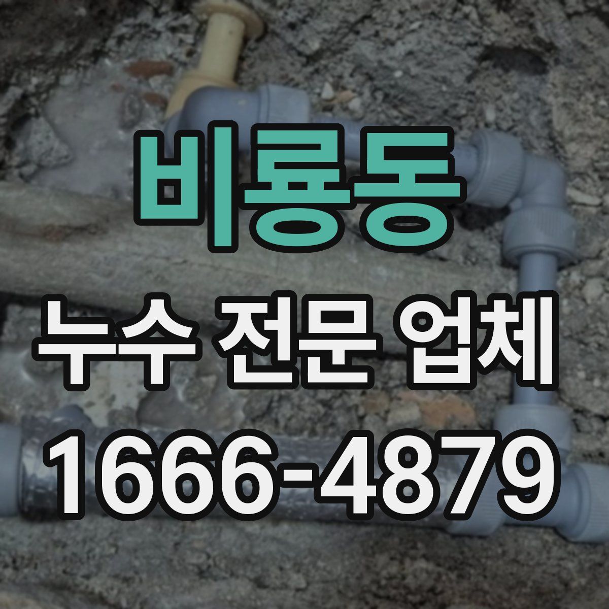 비룡동 누수 전문 업체