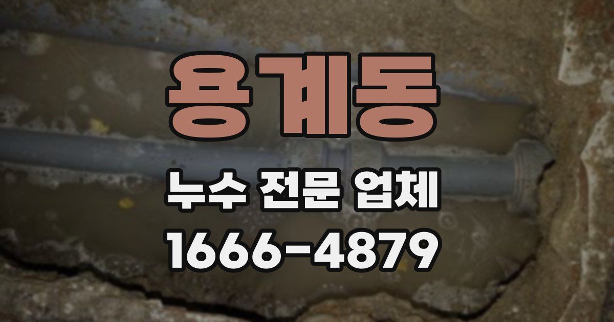 용계동 누수 전문 업체