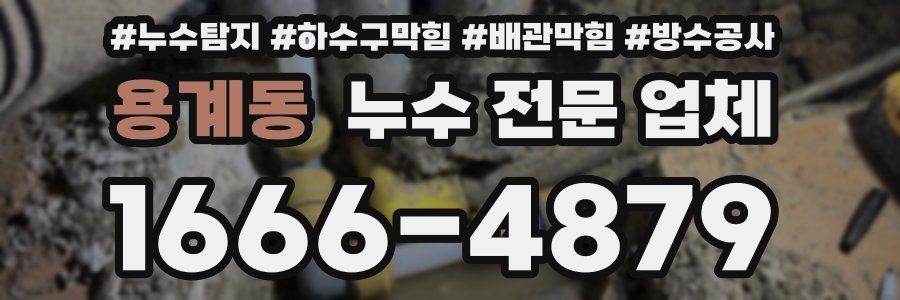 용계동 누수 전문 업체