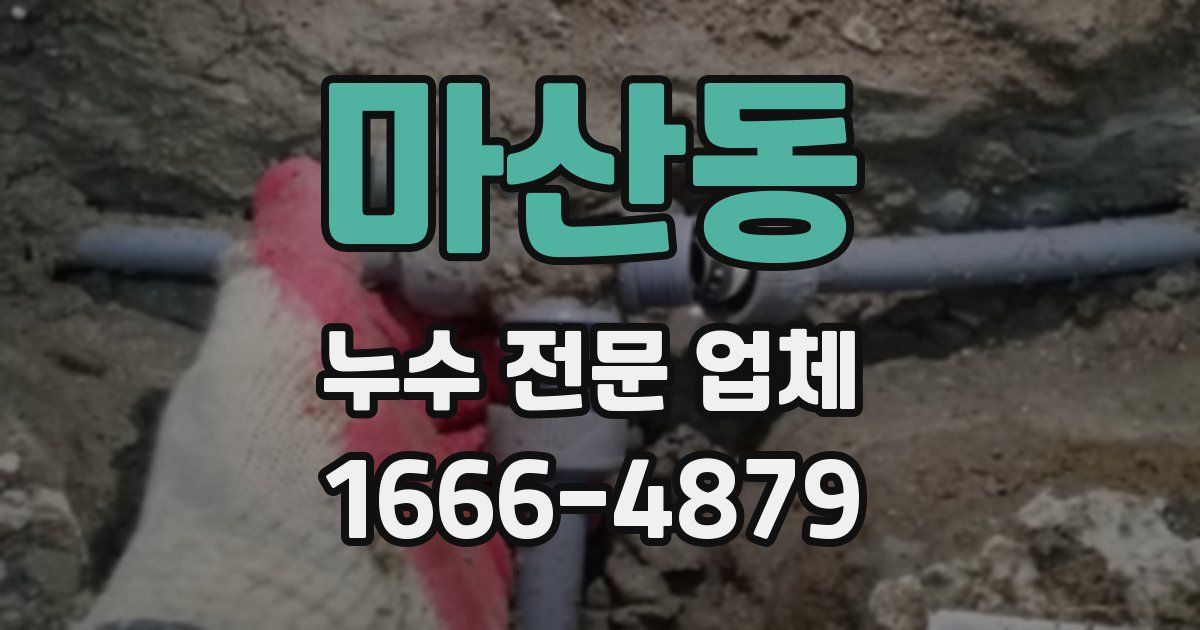 마산동 누수 전문 업체