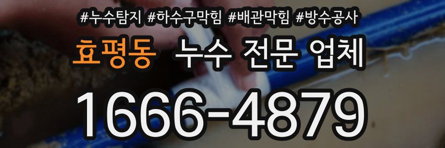 효평동 누수 전문 업체