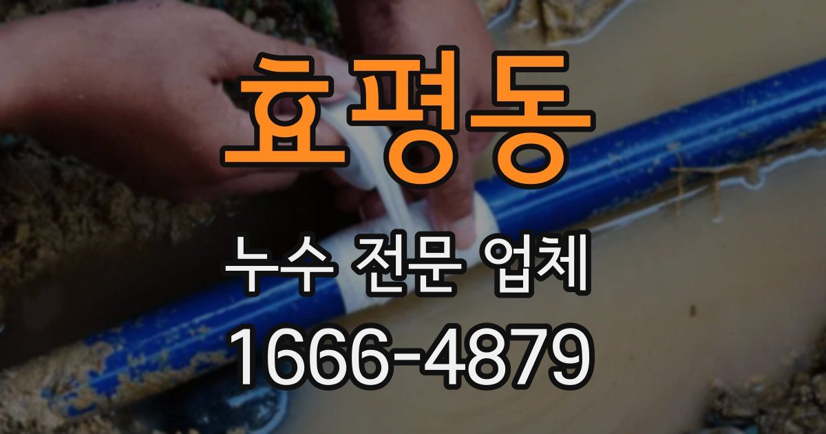 효평동 누수 전문 업체