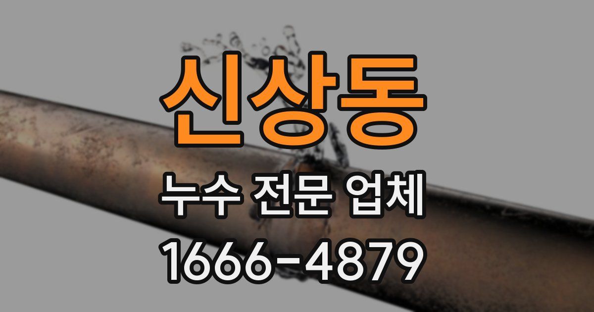신상동 누수 전문 업체