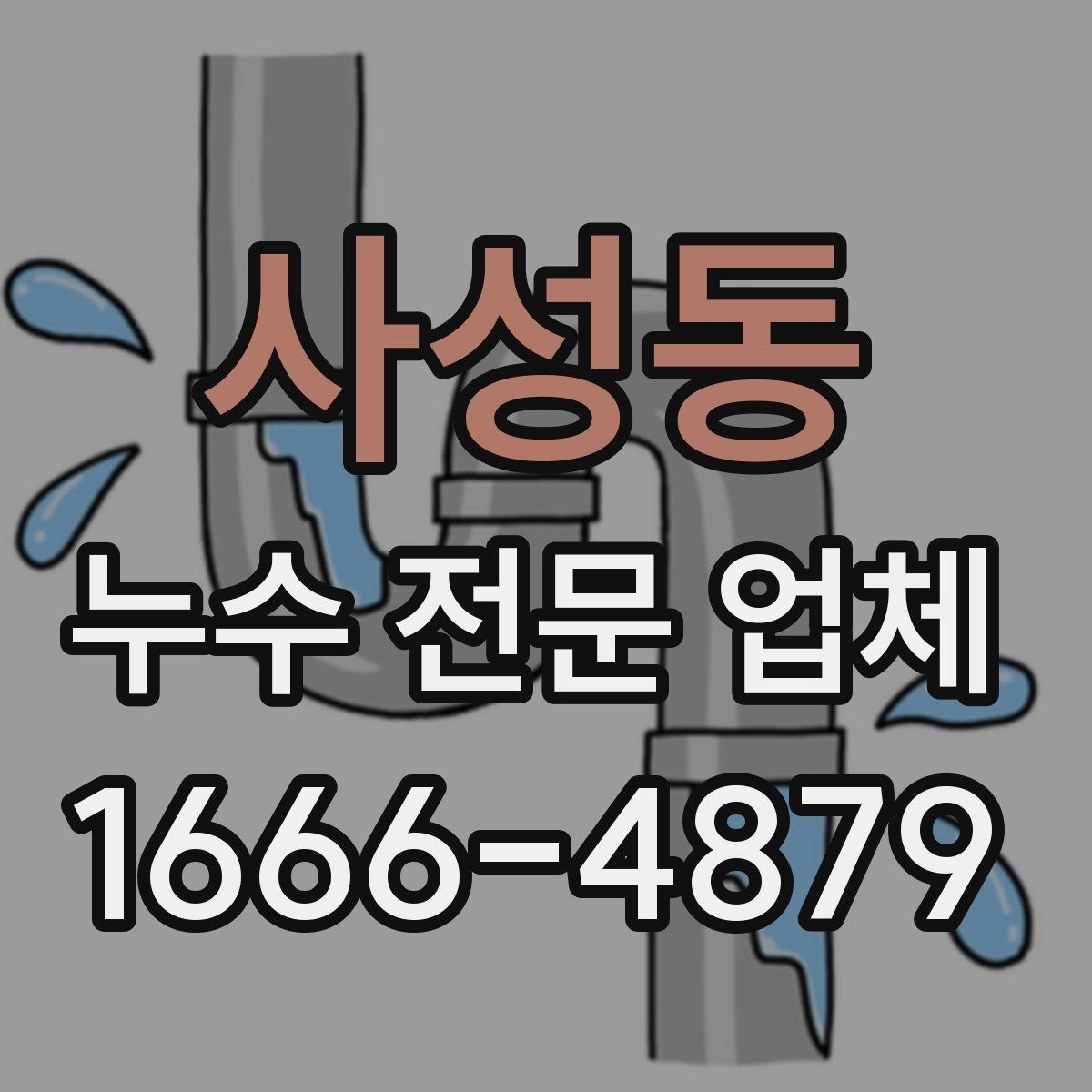 사성동 누수 전문 업체