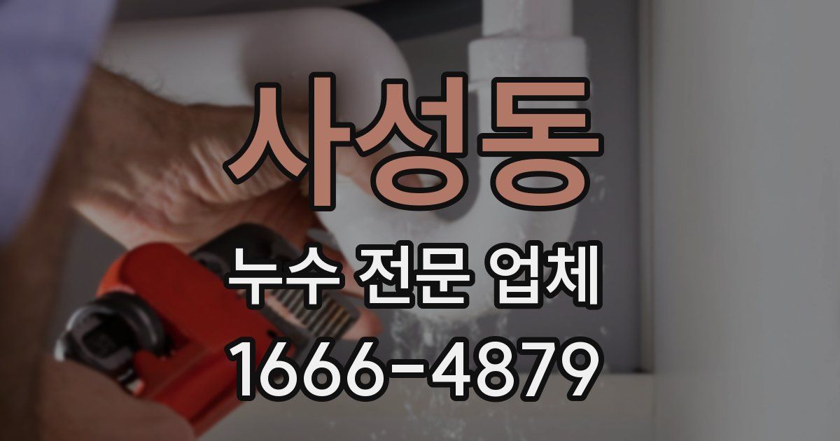 사성동 누수 전문 업체