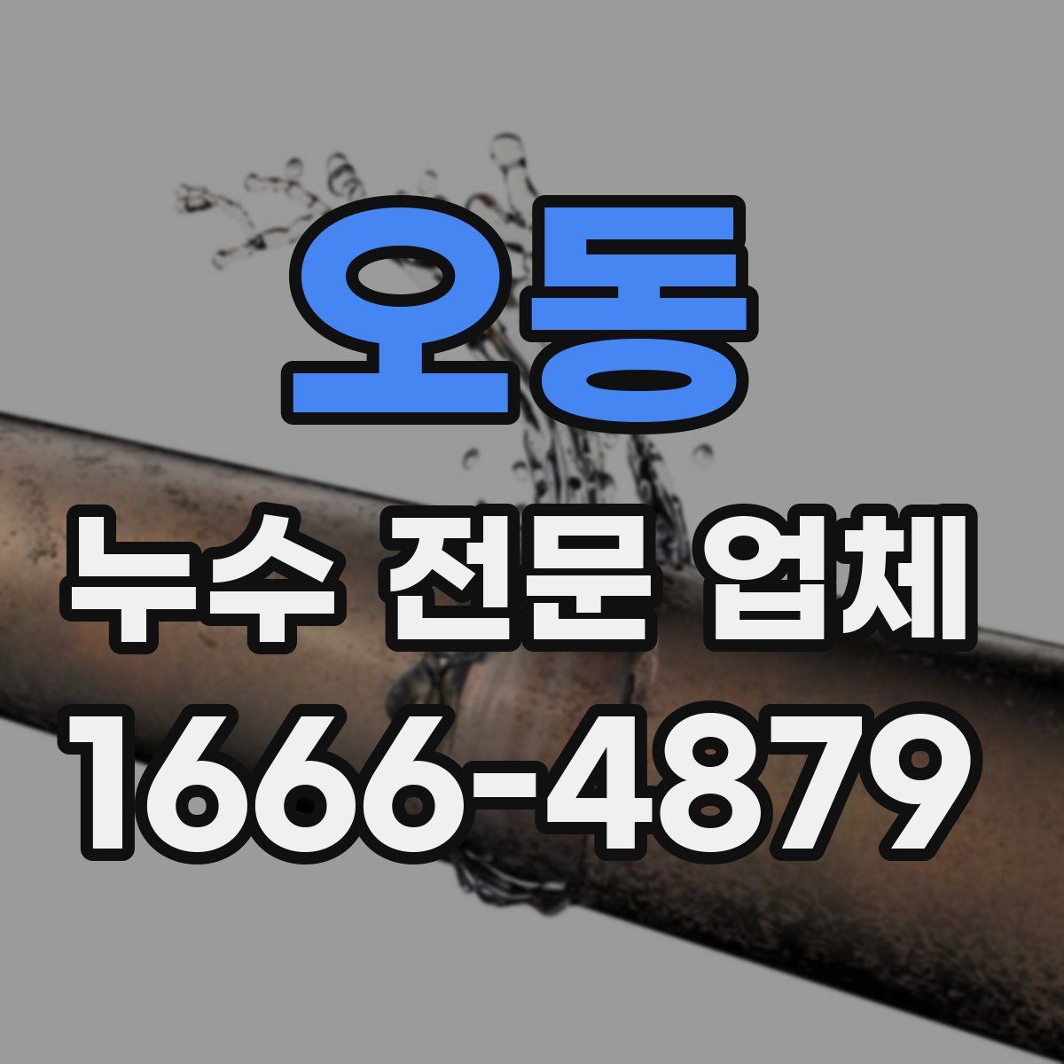 오동 누수 전문 업체
