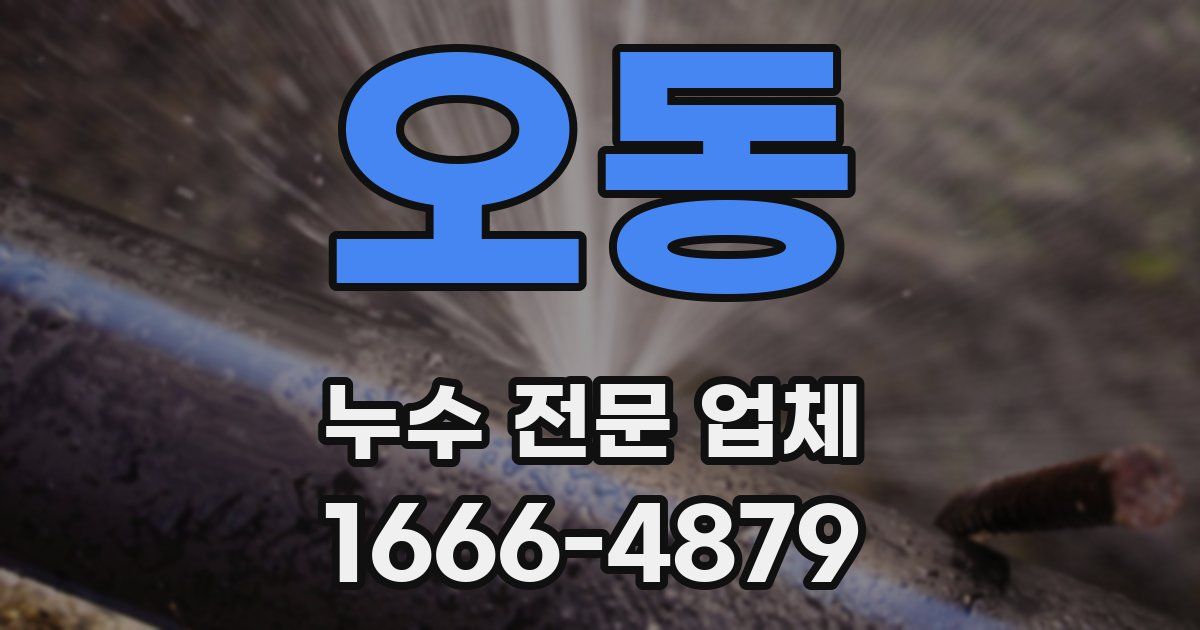 오동 누수 전문 업체