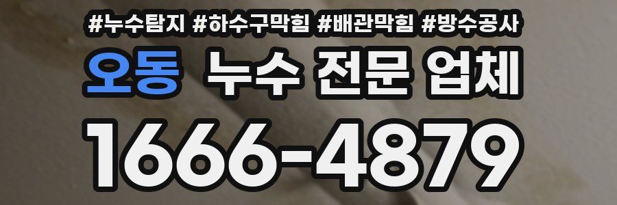 오동 누수 전문 업체