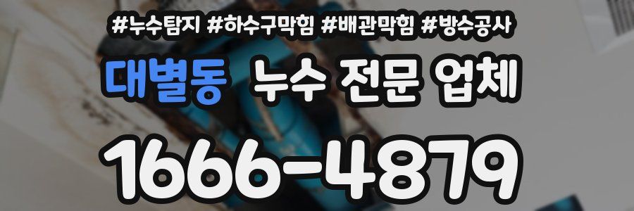 대별동 누수 전문 업체