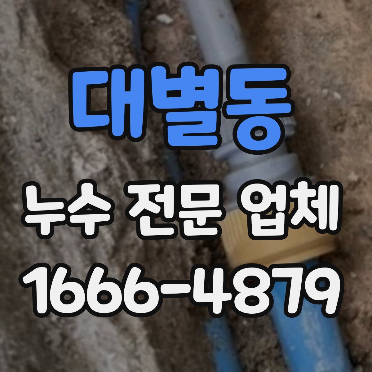 대별동 누수 전문 업체