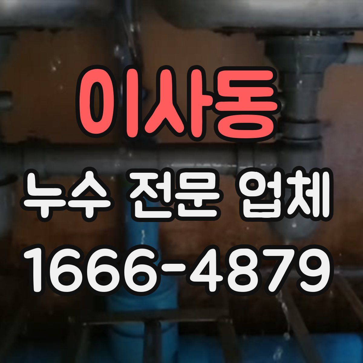 이사동 누수 전문 업체