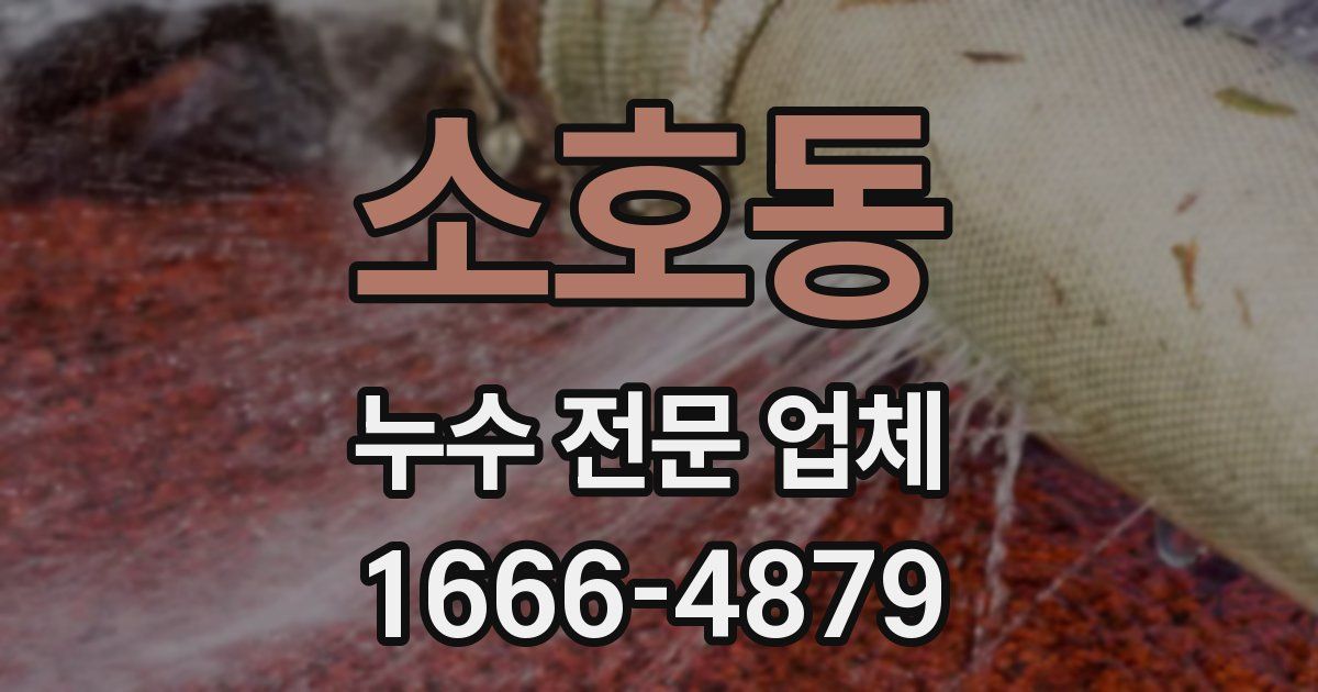 소호동 누수 전문 업체