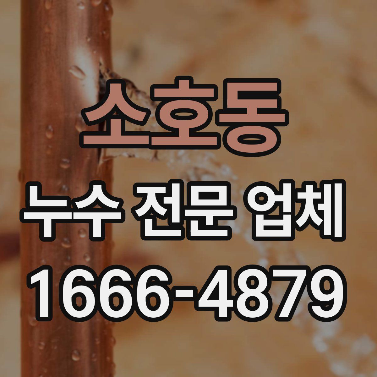 소호동 누수 전문 업체