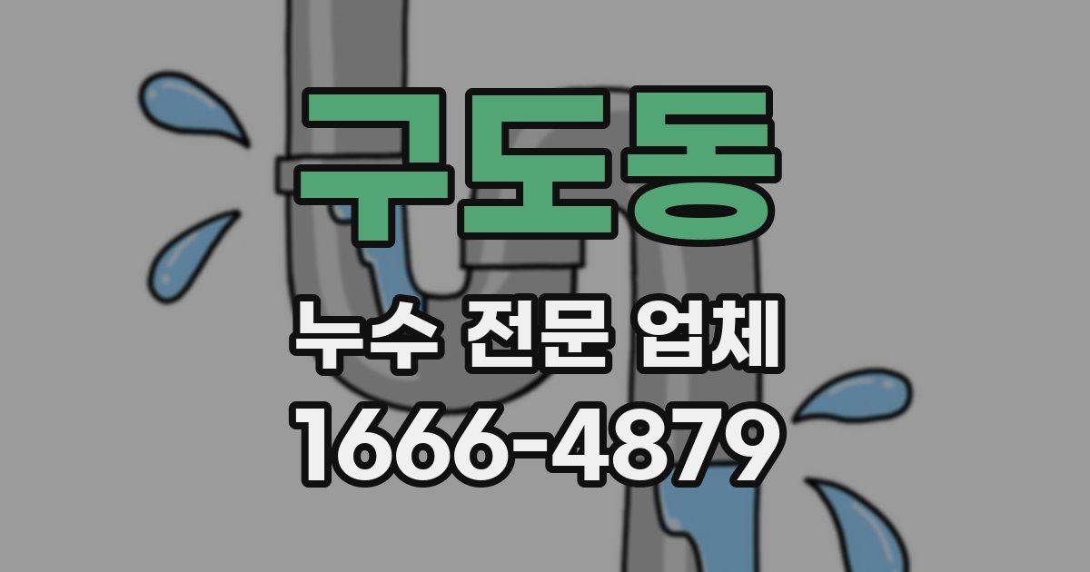 구도동 누수 전문 업체