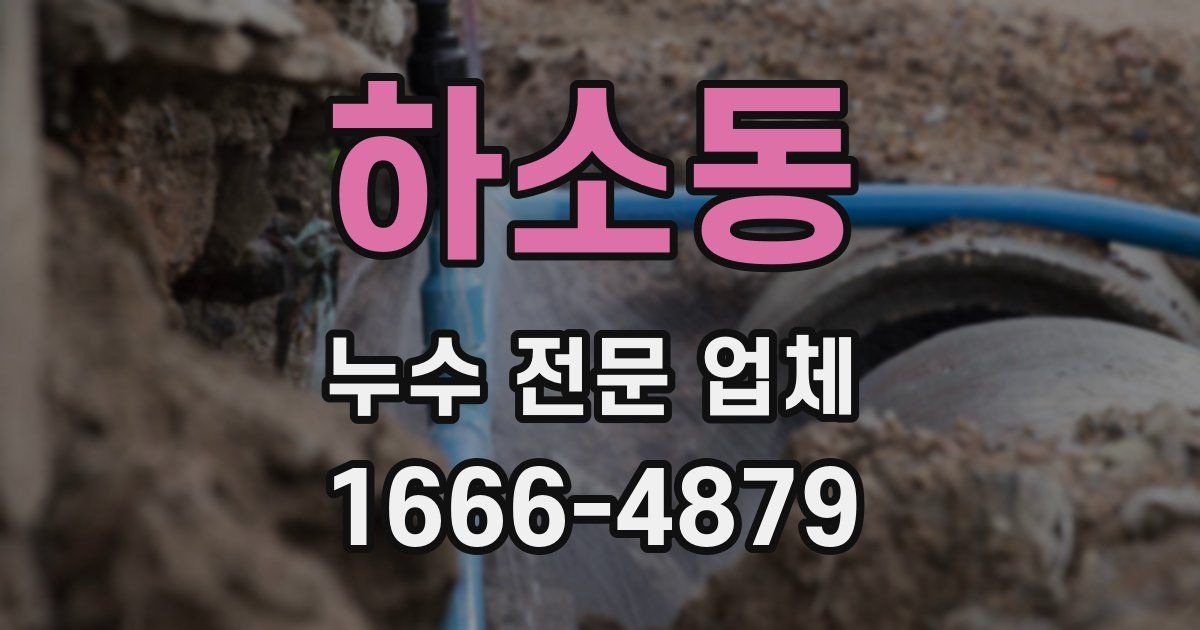 하소동 누수 전문 업체