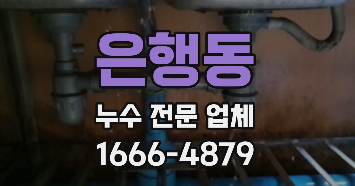 은행동 누수 전문 업체