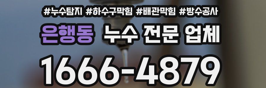 은행동 누수 전문 업체