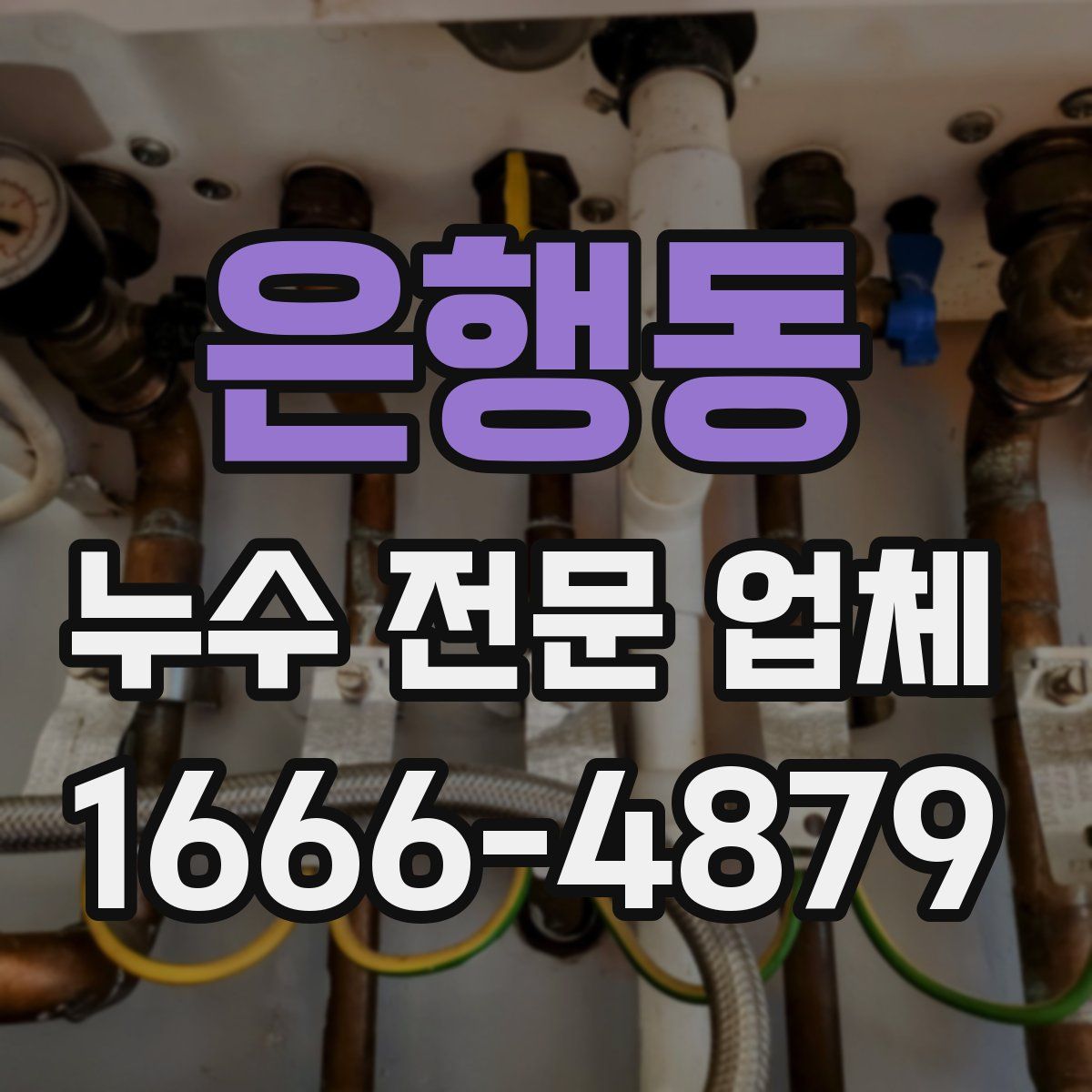 은행동 누수 전문 업체