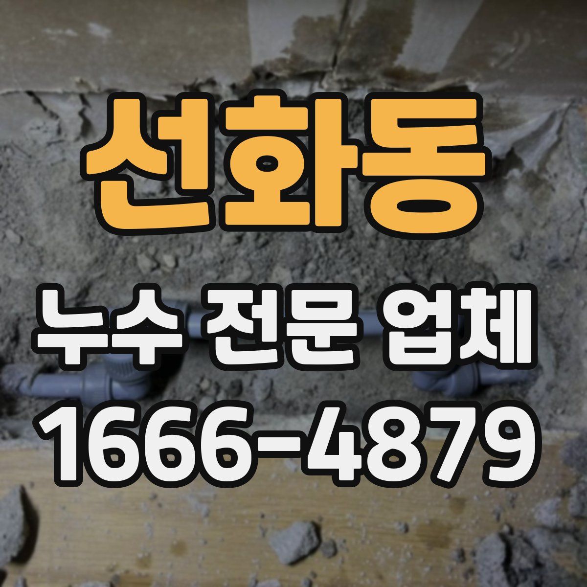 선화동 누수 전문 업체
