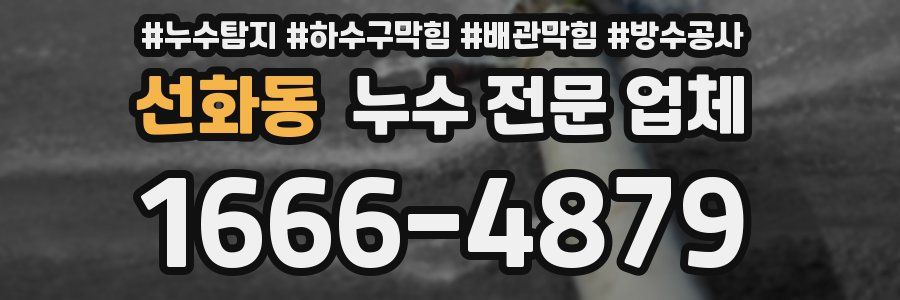 선화동 누수 전문 업체