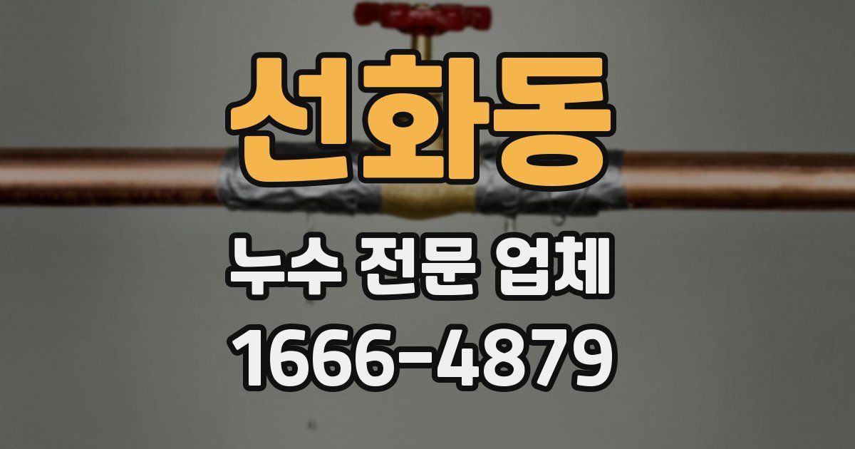 선화동 누수 전문 업체
