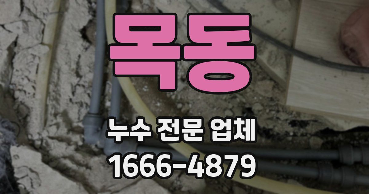 목동 누수 전문 업체