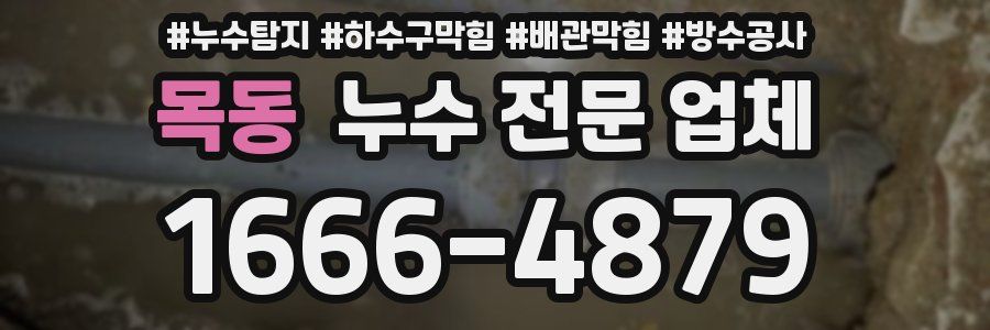 목동 누수 전문 업체