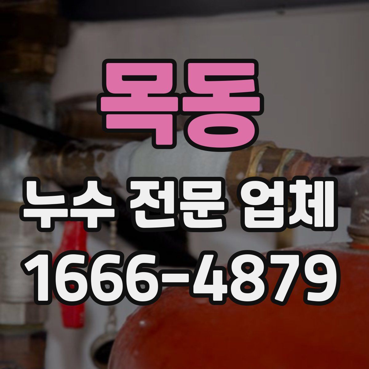 목동 누수 전문 업체