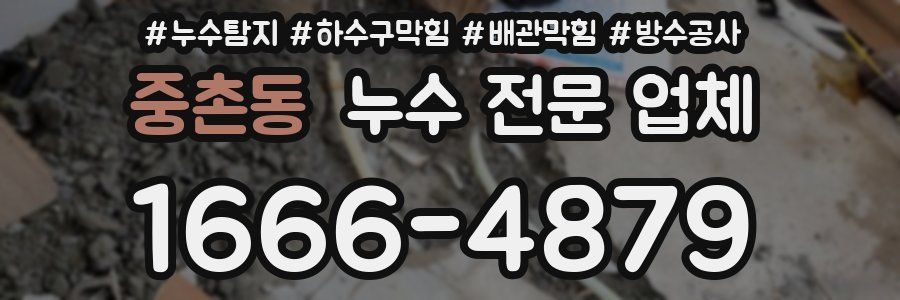 중촌동 누수 전문 업체