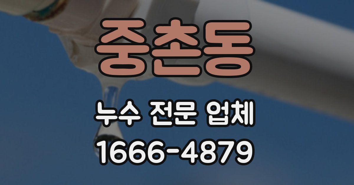 중촌동 누수 전문 업체