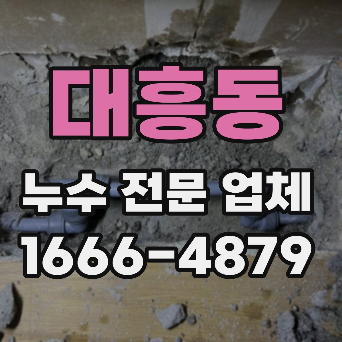 대흥동 누수 전문 업체