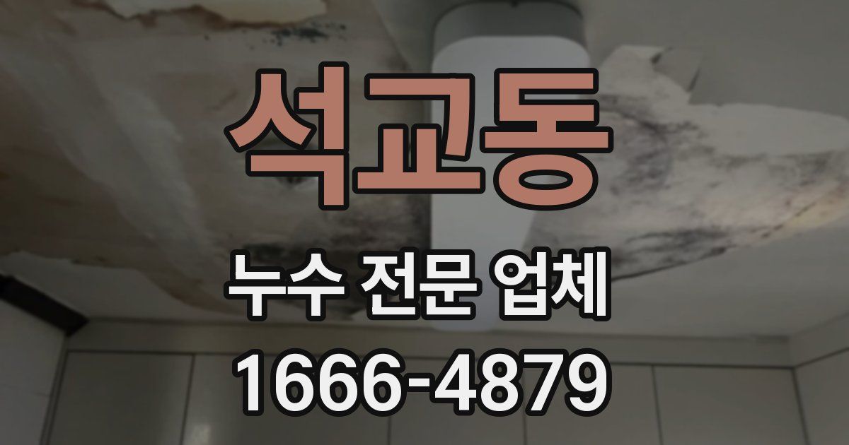 석교동 누수 전문 업체