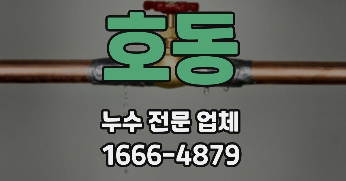 호동 누수 전문 업체