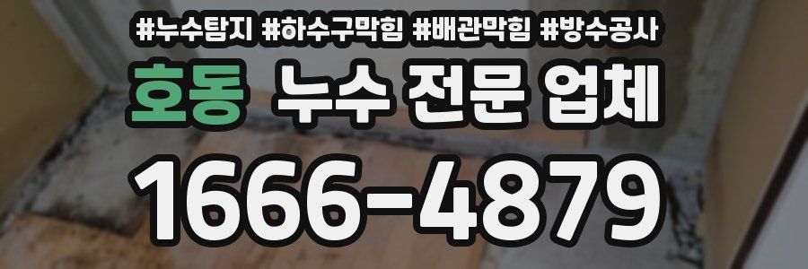 호동 누수 전문 업체
