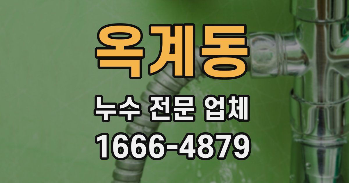 옥계동 누수 전문 업체